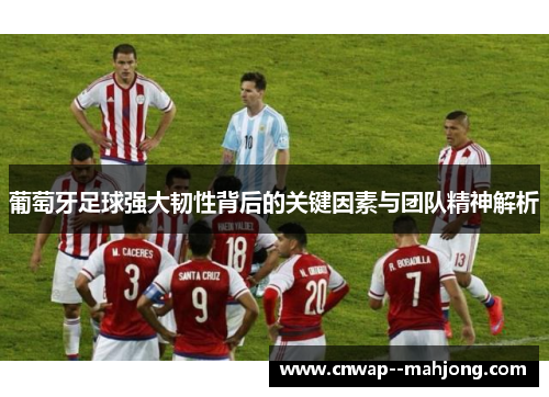 葡萄牙足球强大韧性背后的关键因素与团队精神解析