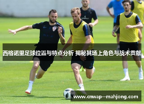 西格诺里足球位置与特点分析 揭秘其场上角色与战术贡献