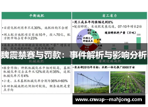 魏震禁赛与罚款：事件解析与影响分析