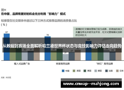 从数据到赛场全面解析哈兰德世界杯状态与竞技影响力评估走向趋势