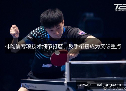 林昀儒专项技术细节打磨，反手衔接成为突破重点